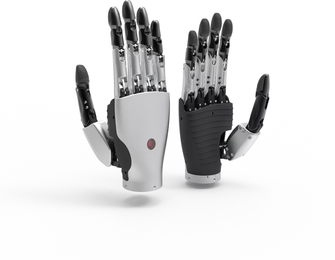 钛虎机器人一岁啦